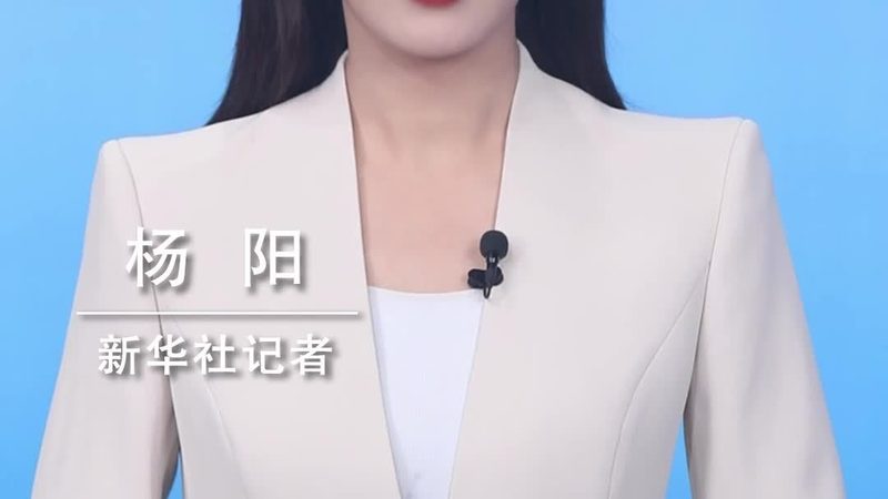 深圳智能客服开发：价格背后的考量因素**